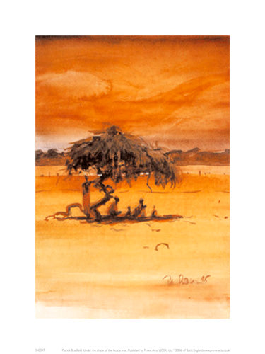 Under The Shade Of The Acacia Tree | Patrick Bradfield