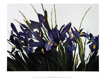 Wild Iris | Sharon Mack