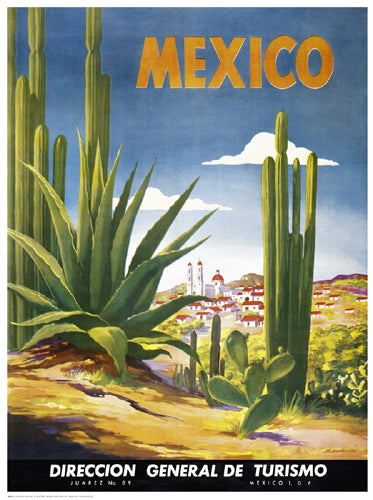 Cacti, Mexico | Unknown