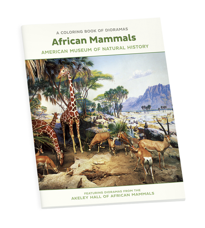 African Mammals Dioramas Coloring Book