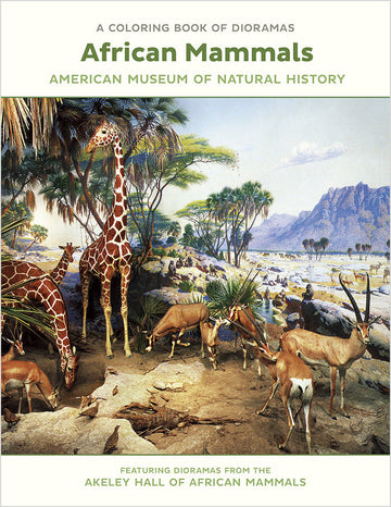 African Mammals Dioramas Coloring Book