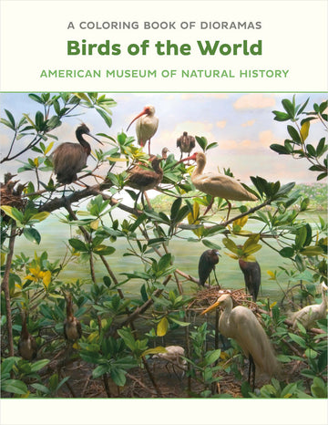 Birds of the World Dioramas Coloring Book