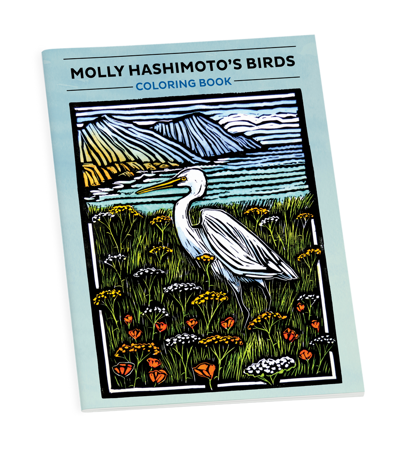 Molly Hashimoto's Birds Coloring Book